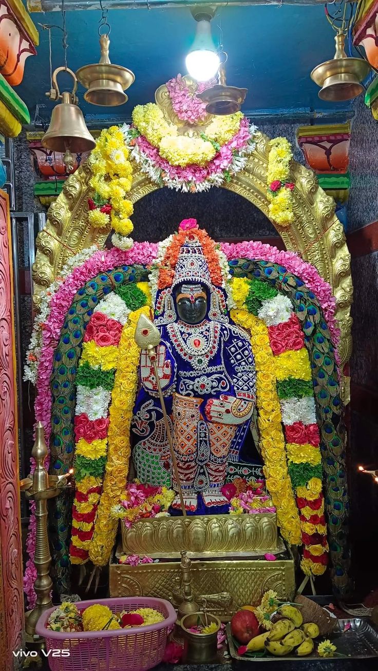 Sacred darshan at Arulmigu Subramaniya Swami Temple